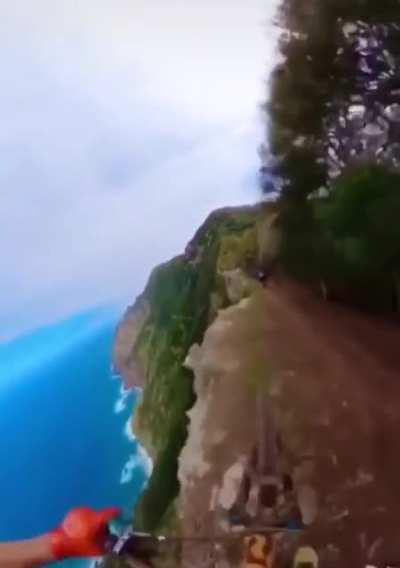 These mountain bikers