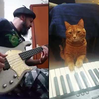 this little gentleman is a professional pianist