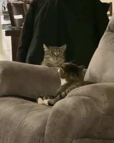 OK I'll leave you alone