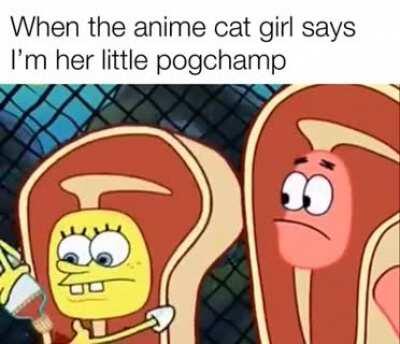 Time to tenderize the meat