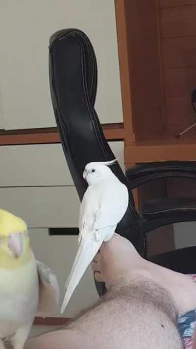 Help me human, she doesn't love me back!