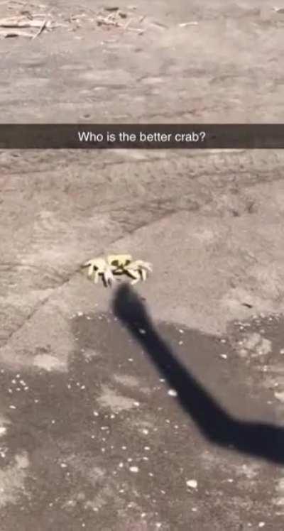 Crab vs. schadow-crab