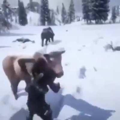 The Thing Is Lurking In the Forest