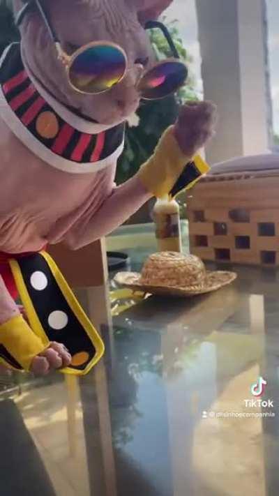 Brazilian Boy Geleia