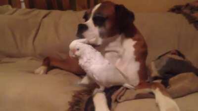 Push it... push it real good