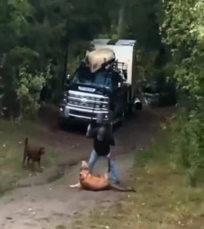 Man rescuing his dog from attacking Mountain Lion
