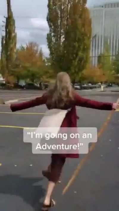 Мистер Бильбо, куда это вы? - Я спешу навстречу приключениям!