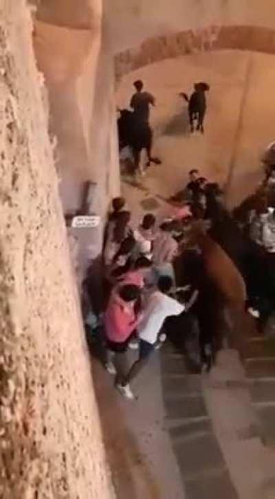 Blocking the route of a Enraged Charging BULL