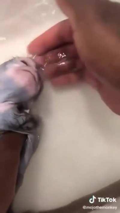 DANYEL COM Y HIDRATANDO O CABELO