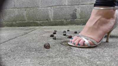 Formal heels walkover snail crush