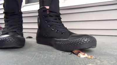 sneaker crush2 convres