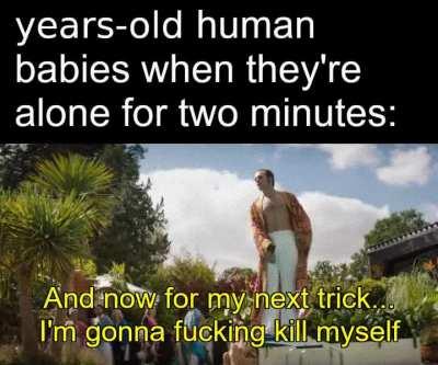 Dank memes knows what's up