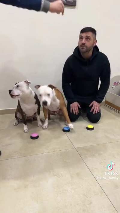 Bro Why The Dogs Are Talking About 