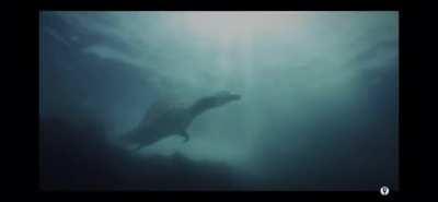 No Matter How Bad Things Get On Land Never Get Into The Water.