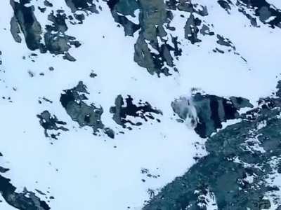 Chasing them tendies