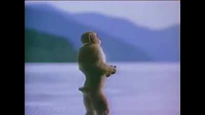 eddit numero 8 podra ser otro gran fracaso?