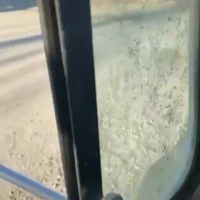 Which one of you is this?