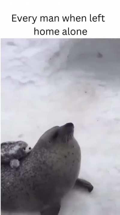 Don't lie i know everyone does it when they are home alone