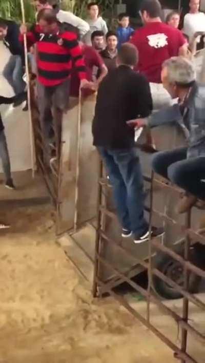 I’m honestly surprised he didn’t get knocked out, there’s so much force behind a bull’s kick.