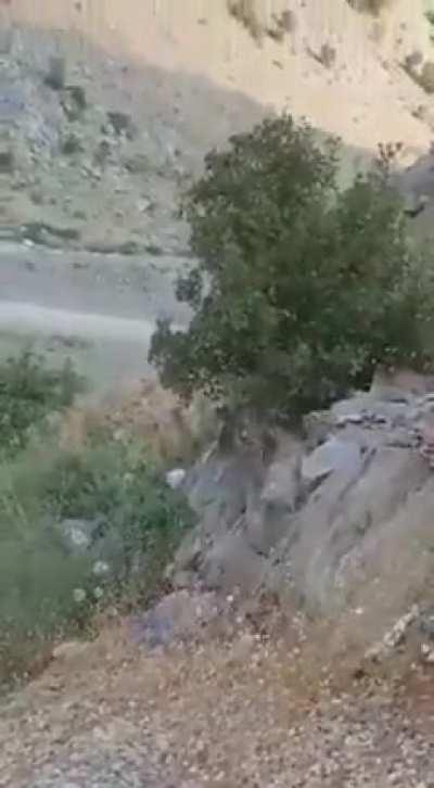 Faith to humanity restored