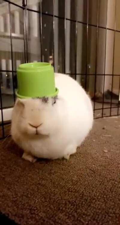 hat