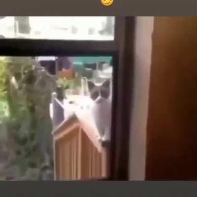 Sübanallah ilk kez görenler up