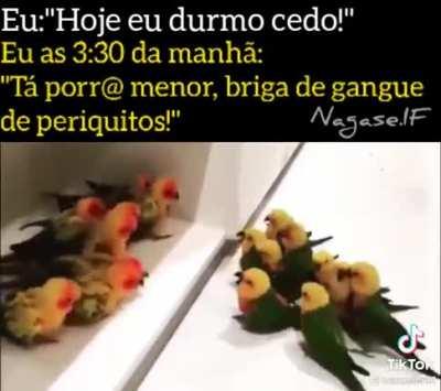gangue dos pinto