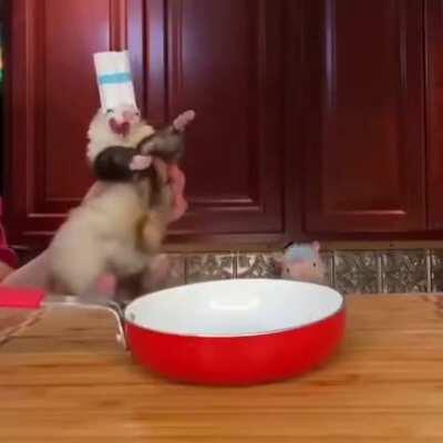 Thanks, I love Ferretouille