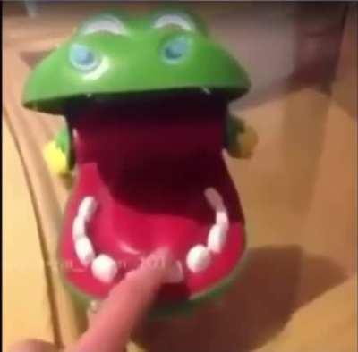 The crocodile’s dead