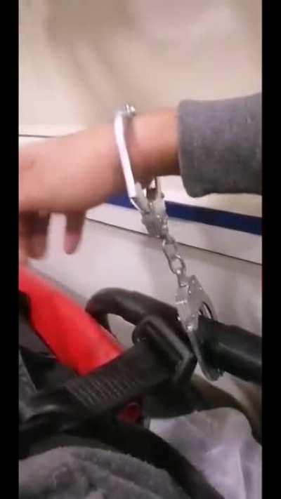 La plimbarea de seara cu GARDA