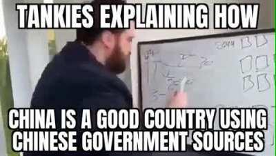 Tankies make me ashamed to be AuthLeft