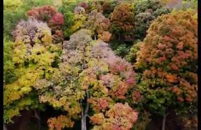 I think the acid just kicked in... [L]