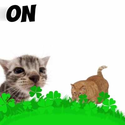 I made this ruler of everything animation, thoughts?