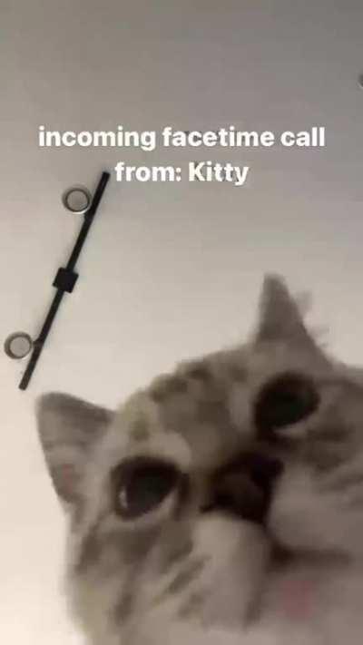 accept✅ decline ❌