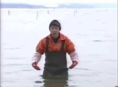 For any Ape having doubts.