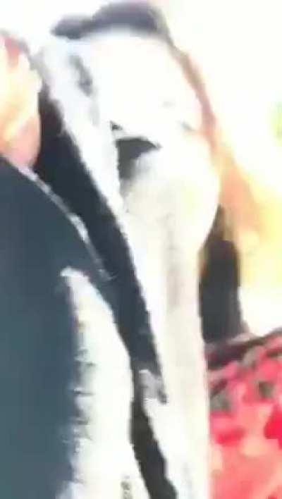 ISKCON Girls did some Tiktok challenge