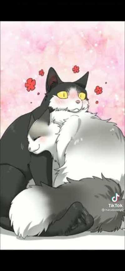 A whole some video for you