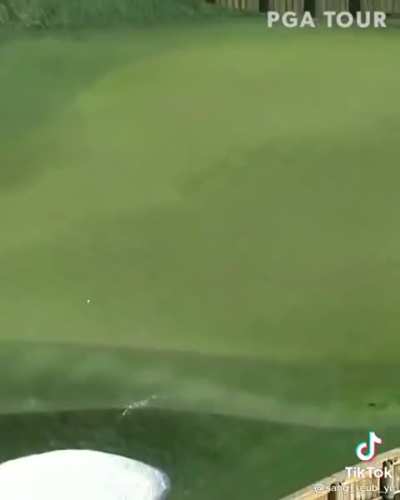 Great job Mr. Cameraman