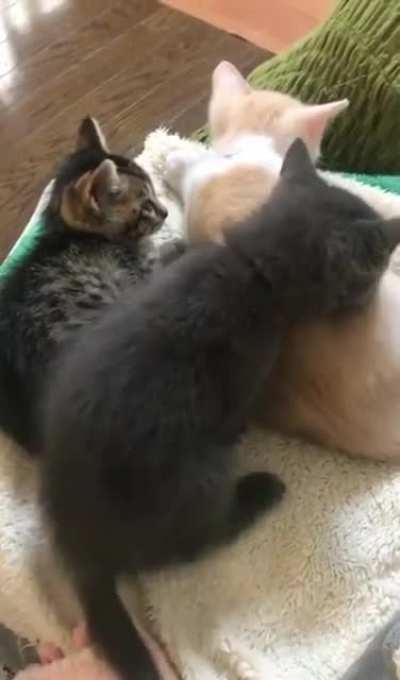 I'll just squeeze in here...