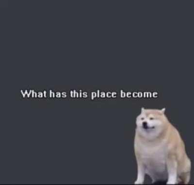 en que se ha convertido este subreddit?