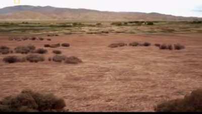 If only we could go back smh my head