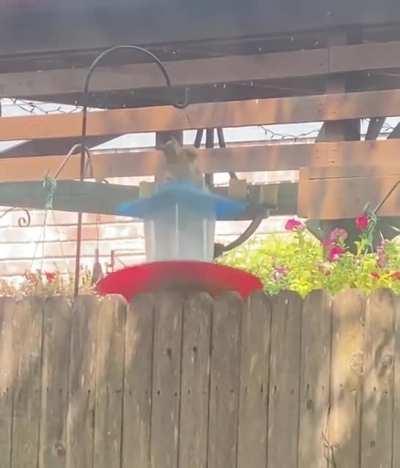 He was determined and is fine.