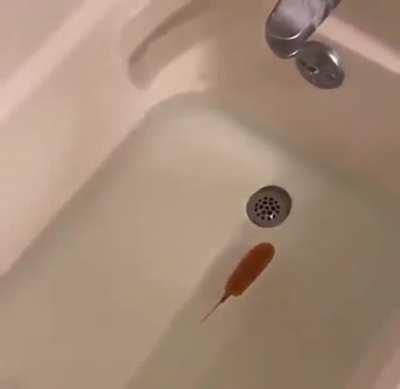 When Bing finally Chillings