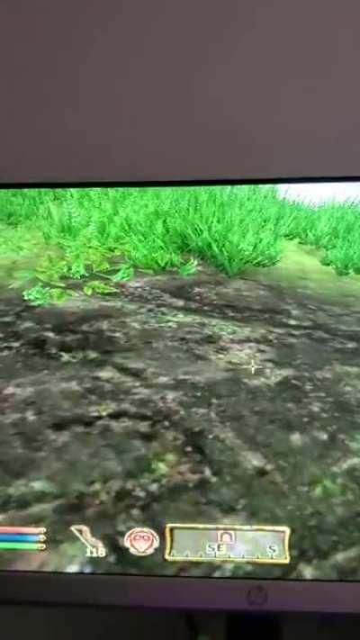 A Skingrad guard in an underwater chest southeast of Leyawin