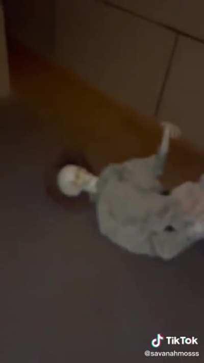 Oh no, I picked the -̷̺̄.̶͉͝