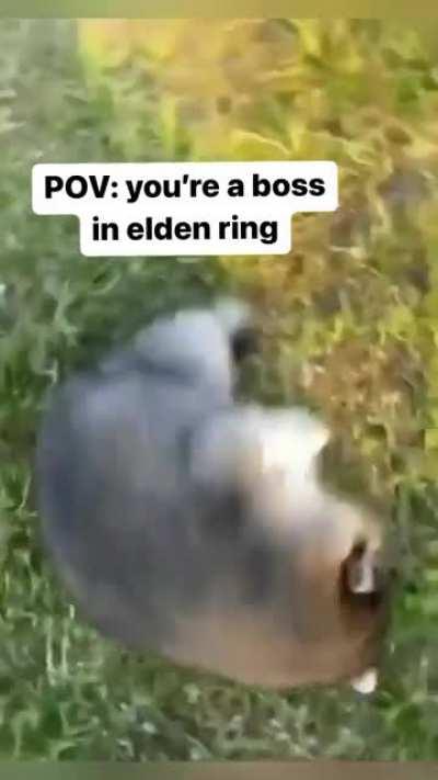 Put thy meager ambitions to rest