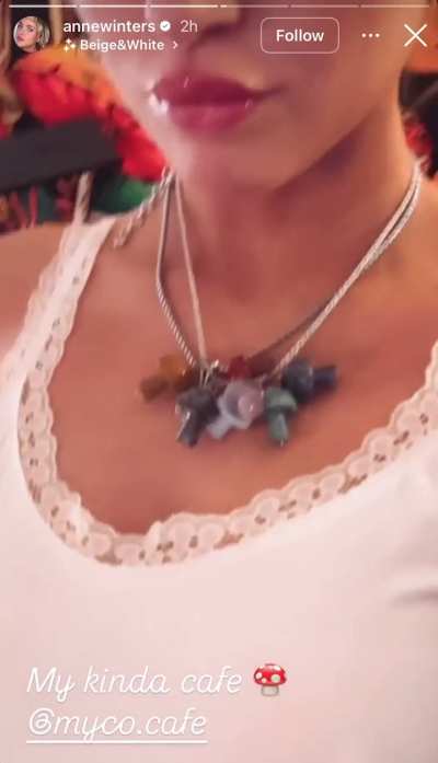 IG story 5.30.25 - mushroom necklace