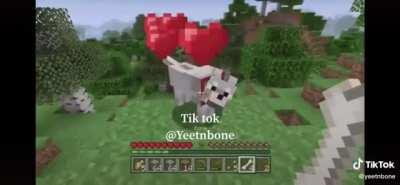 Finding a wolf in Minecraft