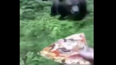 Can someone please translate this video for me?