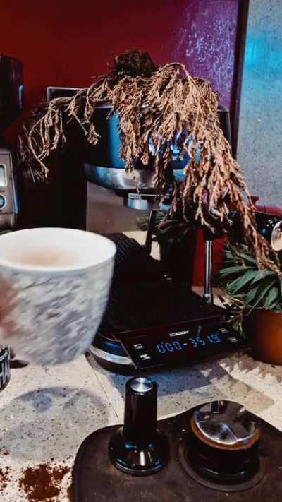 Getting used to my Sage and and r/expresso